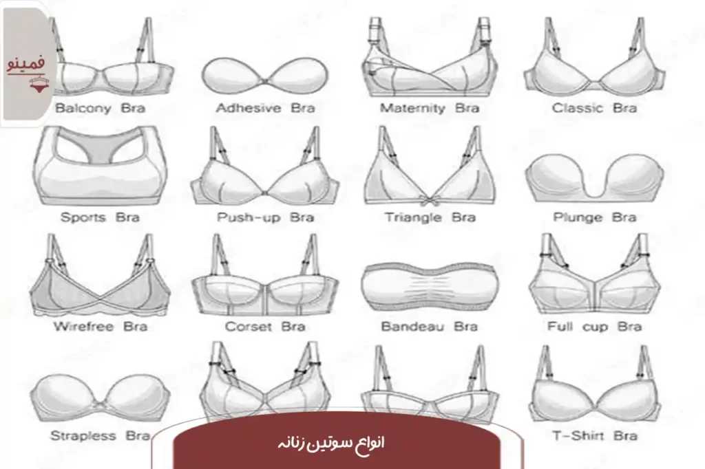 انواع سوتین های زنانه | فمینو